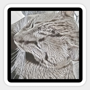 CAT PORTRAIT Sticker